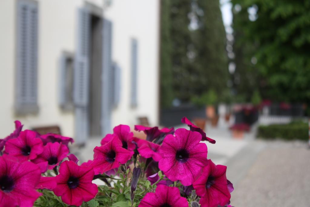 Villa Montarioso เซียนา ภายนอก รูปภาพ